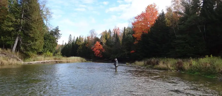 On medium sized rivers like this one, the best way to catch steelhead is float fishing