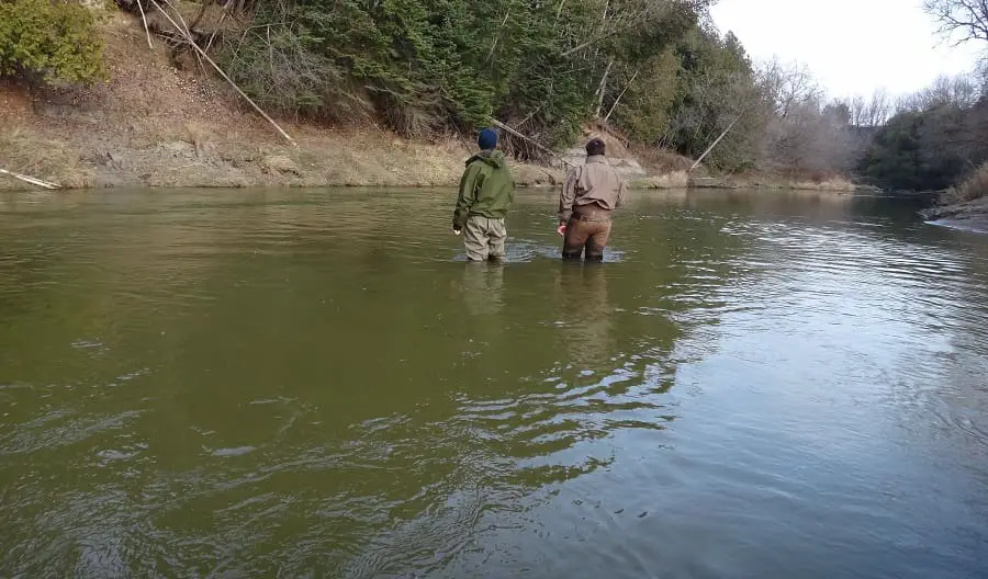Fishing steelhead in slow flat water rivers