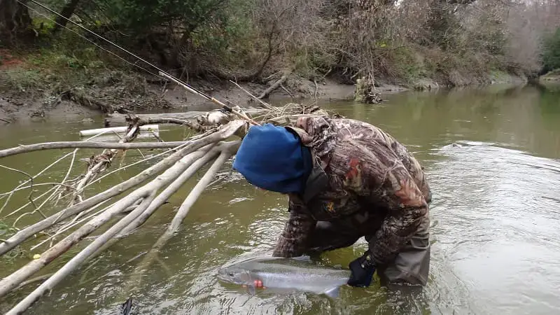 Float Fishing For Steelhead: How The Experts Do It