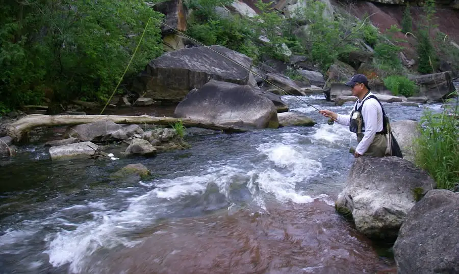 An angler fishing Good Czech Nymphing water