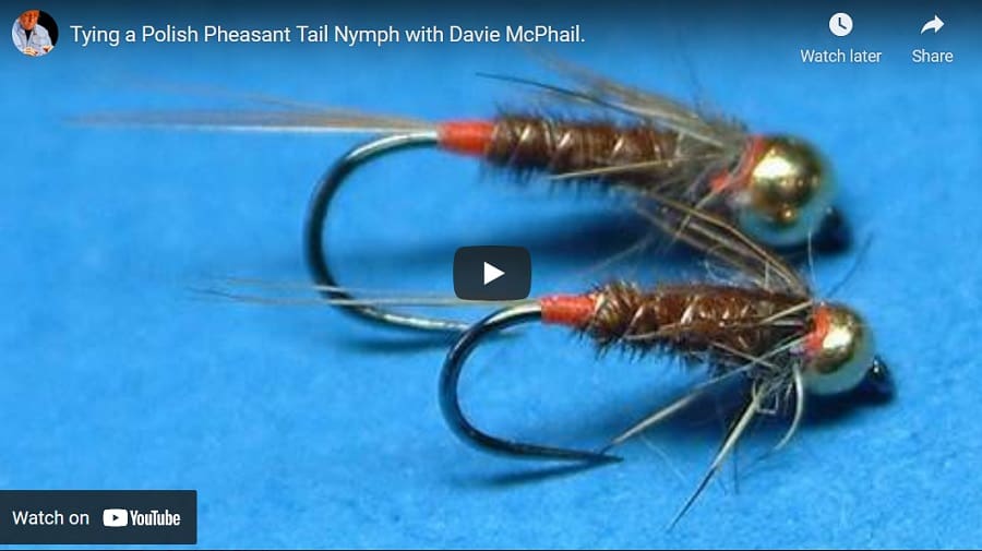 The Polish Pheasant Tail Nymph is one of my best spring trout flies