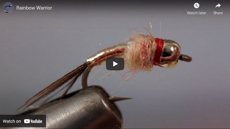 Fly Fishing For Trout: 39 Tips For More Trout 2026
