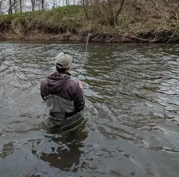 Centerpin Fishing For Trout: Guide Tips And Tactics 2024