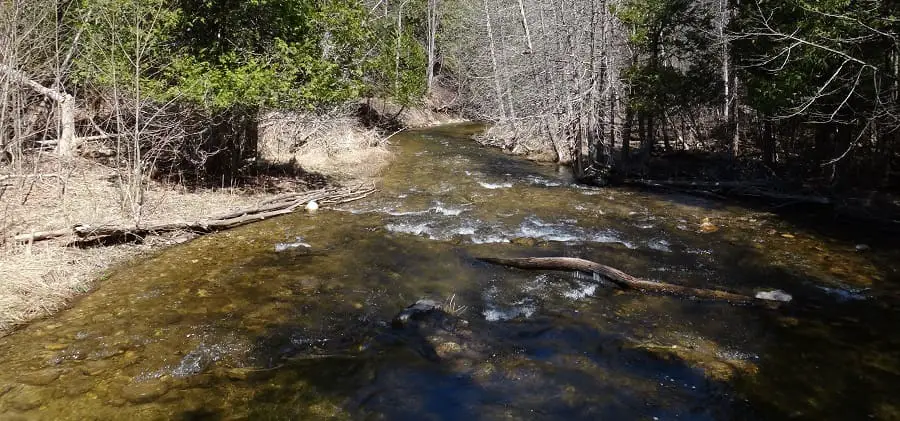 Small river steelhead fishing requires different methods to be successful