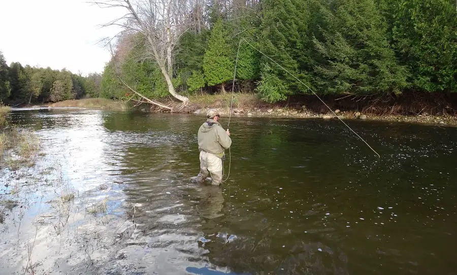 spring trout fishing
