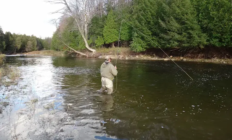 Spring Trout Fishing: Tips From River Guides 2024