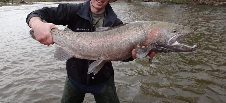 The best way to catch steelhead , methods and tecniques