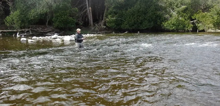 The best way to catch steelhead in some water is fly fishing