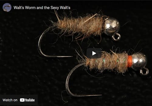Walts Worm and Sexy Walts Worm are great spring trout flies