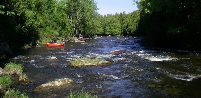 You can cover miles of water in fly fishing boats