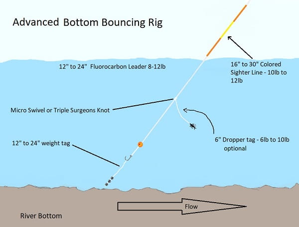 An advanced steelhead bottom bouncing rig