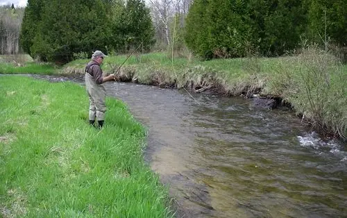 Small trout creek fishing