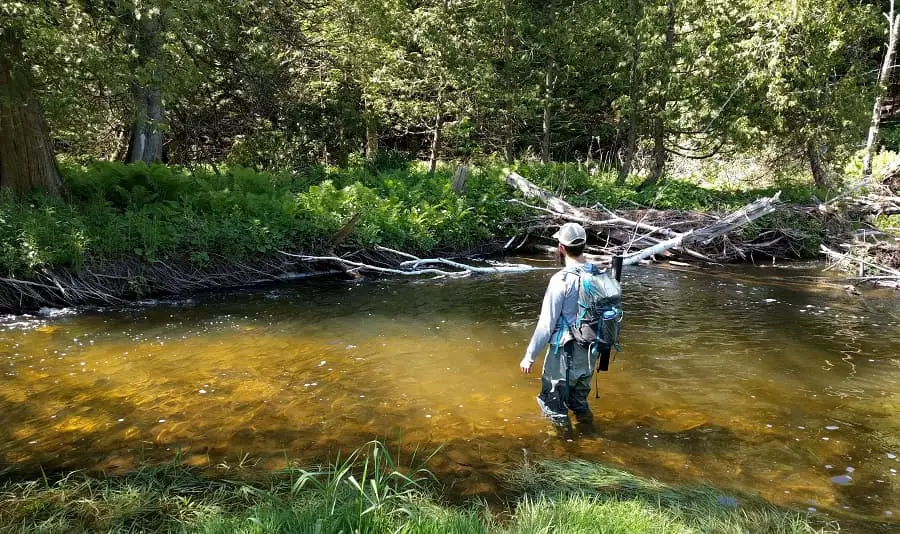 How to catch trout in a stream - an angler fishing a nice trout stream