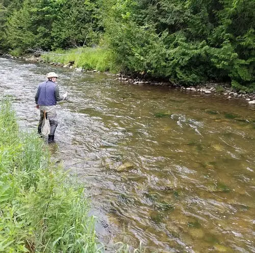 Fishing a small stream for trout.