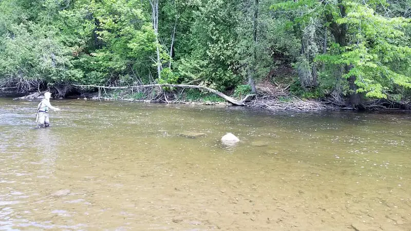 A good sized river for fly fishing nymphs