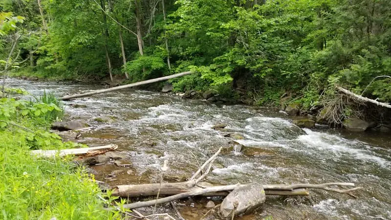 Fast Shallow trout water