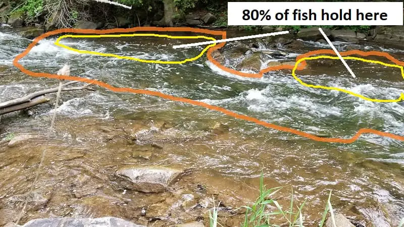 80% of the fish hold in 20% of the water, this image shows you where the fish should be.