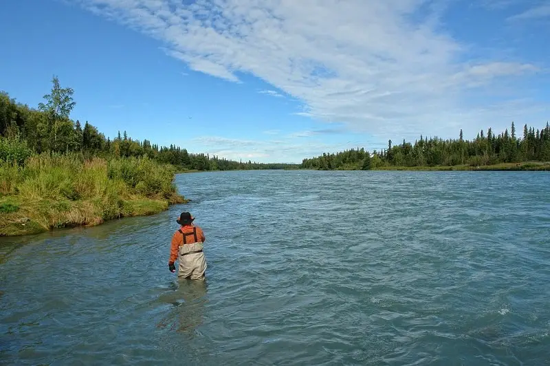 Alaska River fly fishing for salmon