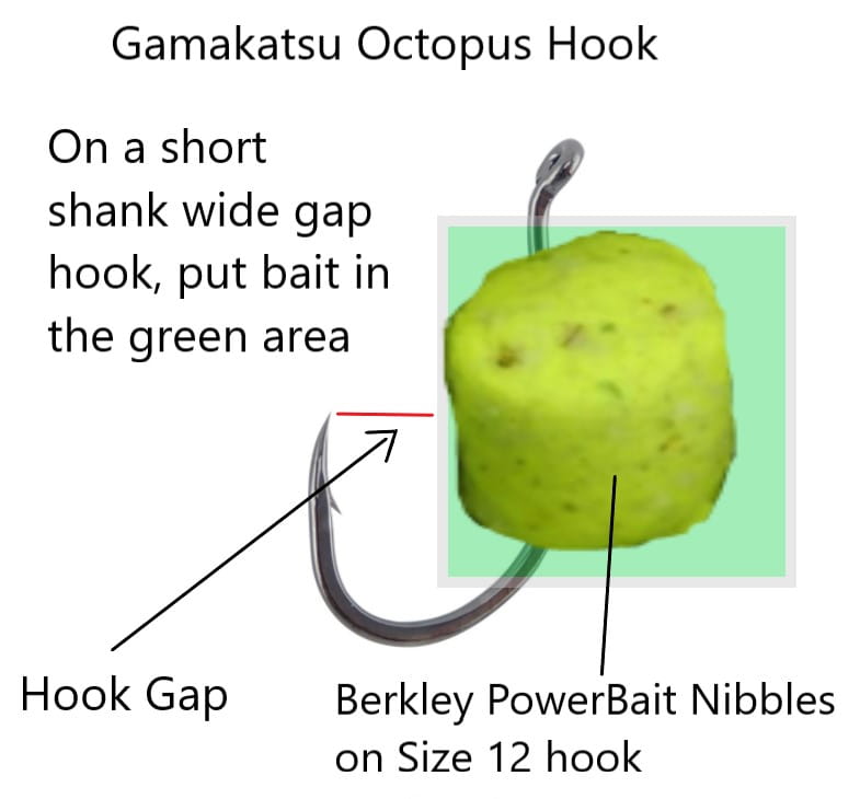 This diagram shows how to put a bait on a hook properly.