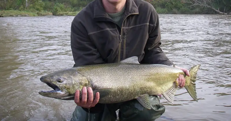 A big salmon caught after a big rain
