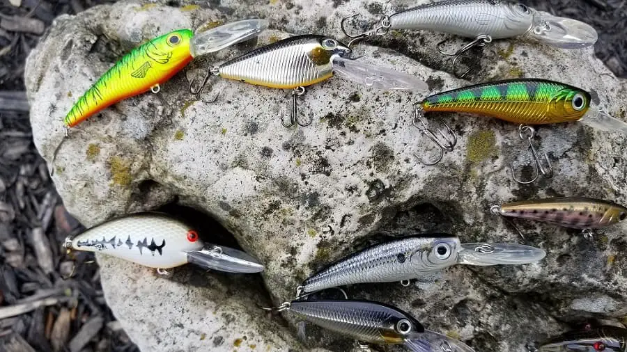 Crankbaits for salmon