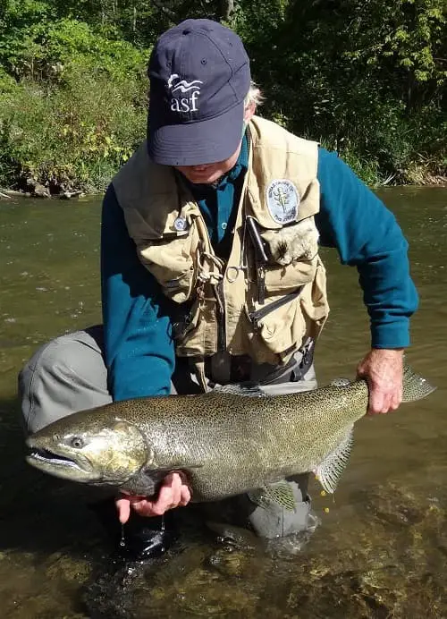 Learning how to fish for great lakes salmon put this angler onto this big Chinook salmon