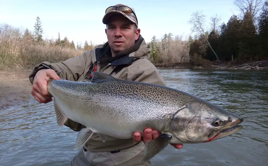 A big salmon caught while float fishing for salmon