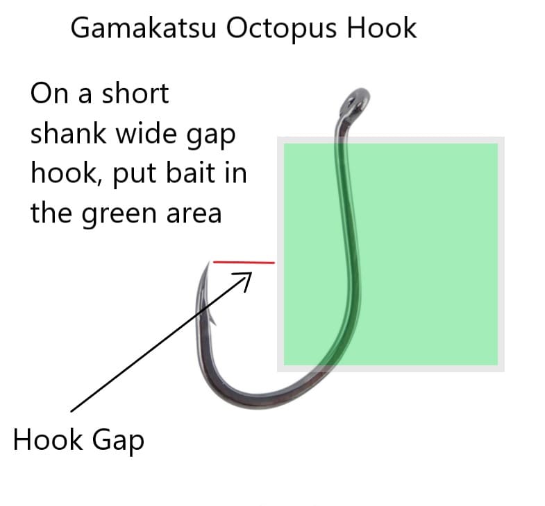 This pictures shows the placement of the bait on a short shank wide gape hook