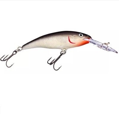 Rapala Tail Dancer is a good lure for steelhead