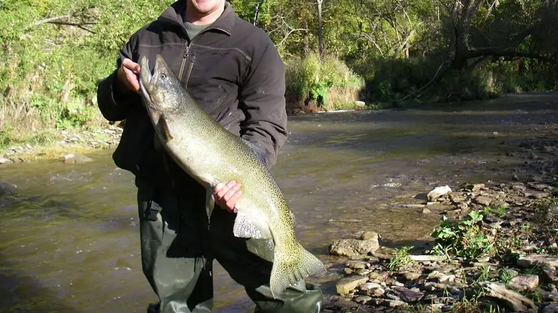 Fly Fishing For Salmon on small creeks and rivers