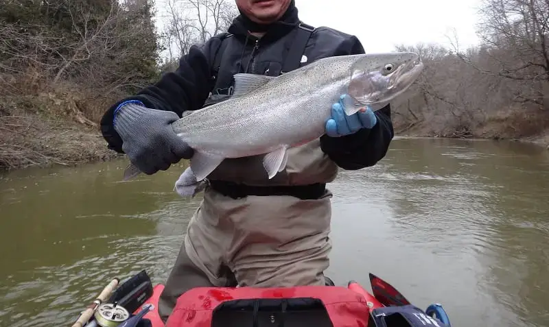 11 Best Steelhead Jigs And How To Fish Them: Guides Advice