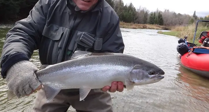 Drift fishing for steelhead