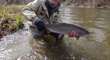 Plunking For Steelhead: Tips And 2 Best Plunking Rigs 2024