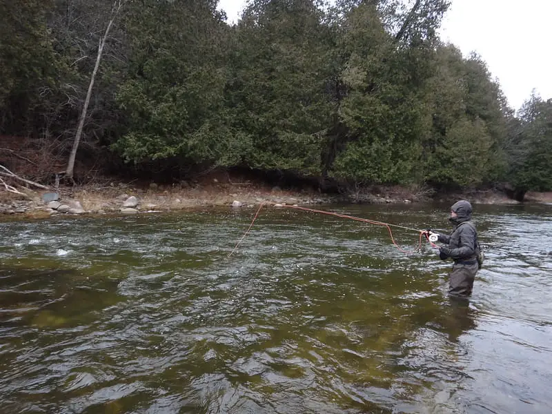 Good water to Euro Nymph Steelhead