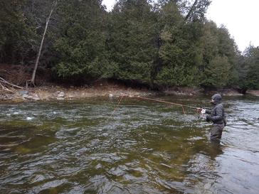 Euro Nymphing For Steelhead: Guide Tactics That Work