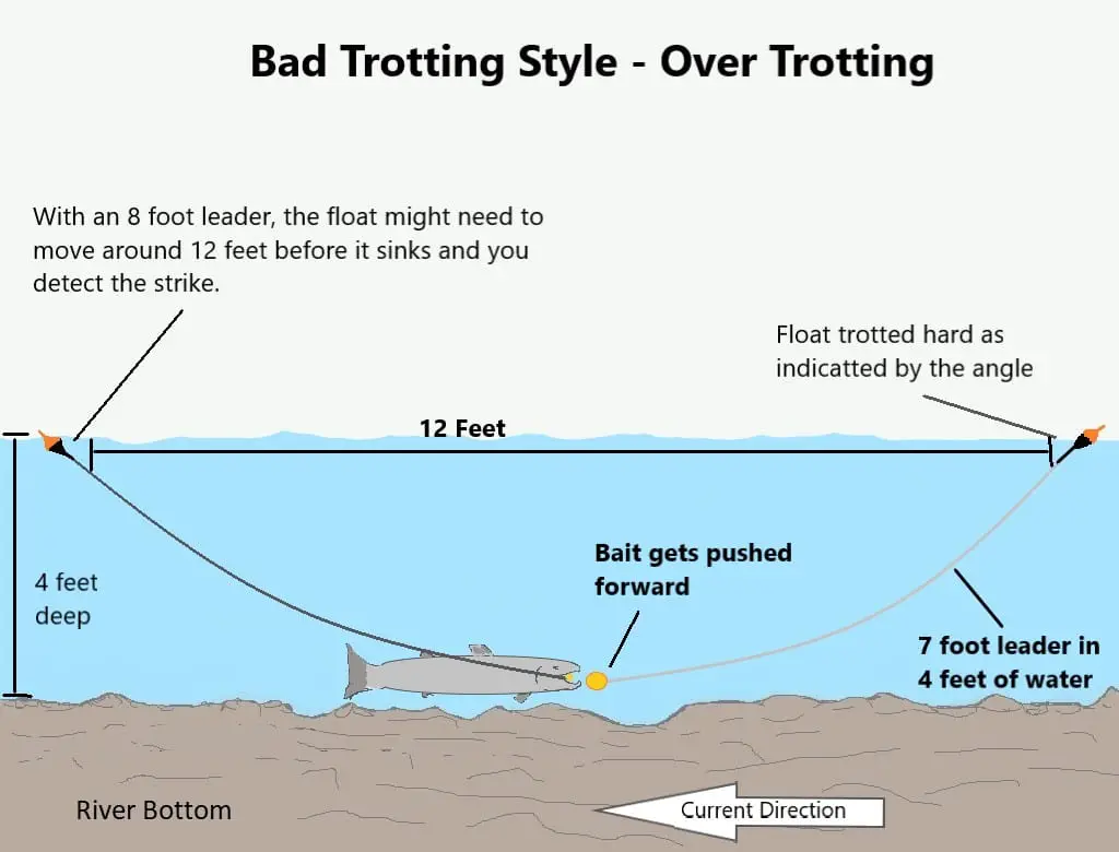 Checking Your Float which is also know as trotting