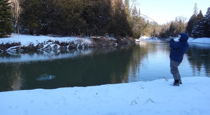 Steelhead fishing in the winter