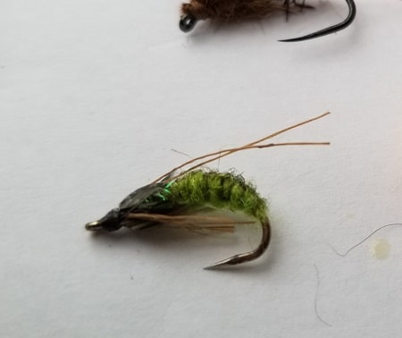 Steelhead Caddis Pattern