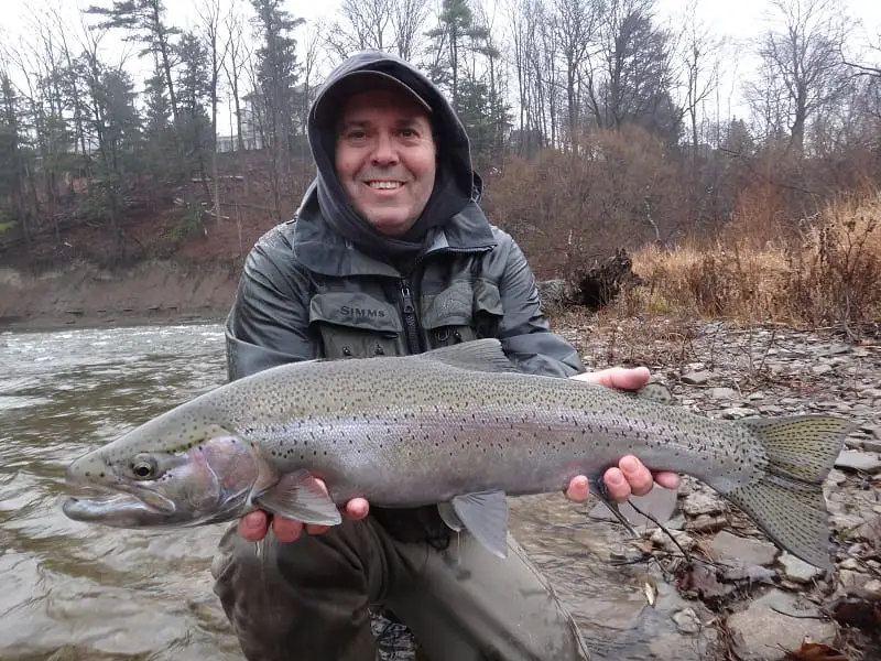 Streamer fishing for steelhead