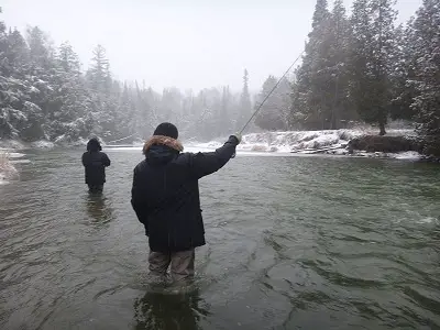 Winter Steelhead Fishing: Tips And Tactics Of Expert Guides