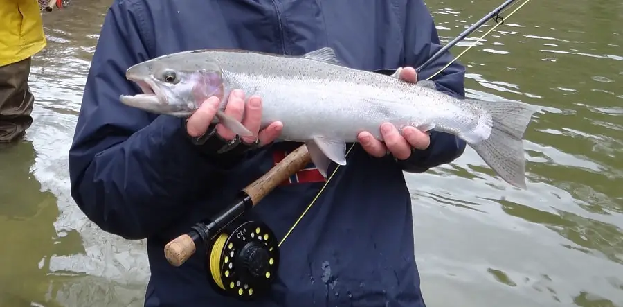 Steelhead fly reels like this one are important for steelhead fishing