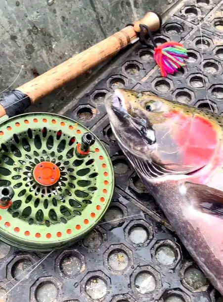 A fancy centerpin reel and a steelhead on the deck of a boat.