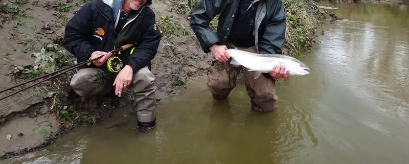 Early fall fishing for steelhead