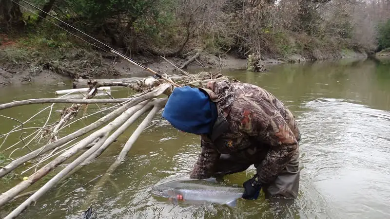 An angler spring steelhead fishing in clearing water.