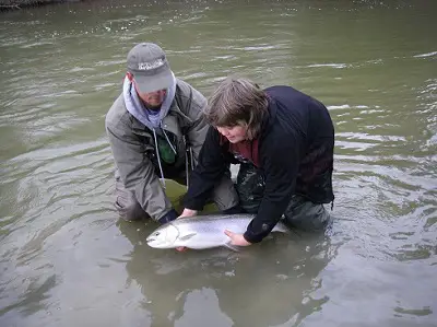 Trout and Steelhead Lake and River Fishing Guides