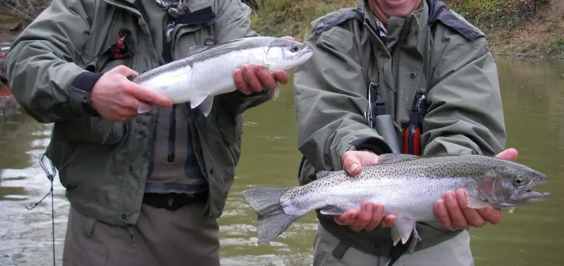 Mid fall fishing for steelhead can produce many double headers like this
