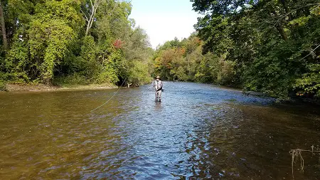 Steelhead Fishing NY in the fall