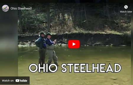Steelhead Fishing Ohio Show