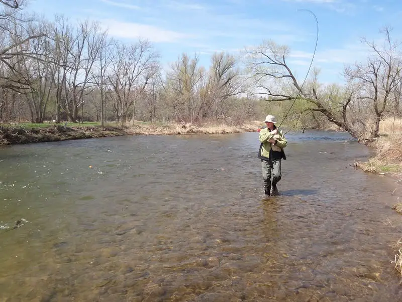 An angler fishing a steelhead is what rocky river steelhead fishing is all about