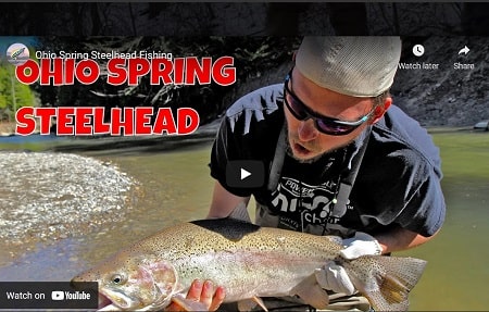 Steelhead Fishing Ohio in the spring video